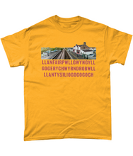 Load image into Gallery viewer, LLANFAIRPG - Crys-T