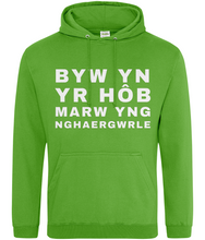 Load image into Gallery viewer, BYW YN YR HôB - Hwdi