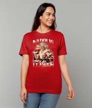 Load image into Gallery viewer, Nadolig Llawen a Blwyddyn Newydd Dda - Crys-T