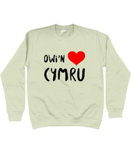 Load image into Gallery viewer, Dwi'n Caru Cymru - Crys chwys