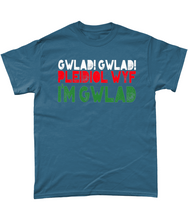 Load image into Gallery viewer, Gwlad! Gwlad! 2024 - Crys-T