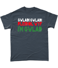 Load image into Gallery viewer, Gwlad! Gwlad! 2024 - Crys-T