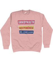 Load image into Gallery viewer, Annibyniaeth Independencia - Crys chwys