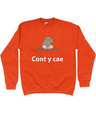 Load image into Gallery viewer, Cont y cae - Crys chwys