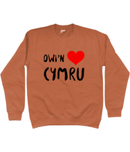 Load image into Gallery viewer, Dwi'n Caru Cymru - Crys chwys