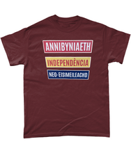 Load image into Gallery viewer, Annibyniaeth Independencia - Crys-T