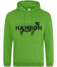Load image into Gallery viewer, HAMBON -Hwdi