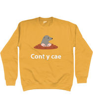 Load image into Gallery viewer, Cont y cae - Crys chwys