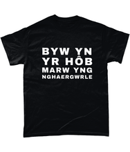 Load image into Gallery viewer, BYW YN YR HôB - Crys-T