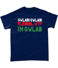 Load image into Gallery viewer, Gwlad! Gwlad! 2024 - Crys-T