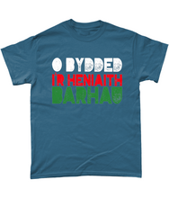 Load image into Gallery viewer, O Bydded - Crys-T