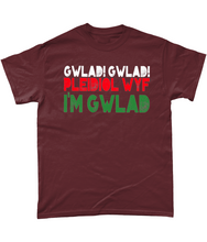 Load image into Gallery viewer, Gwlad! Gwlad! 2024 - Crys-T