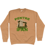 Load image into Gallery viewer, Pentre Ifan - Crys chwys