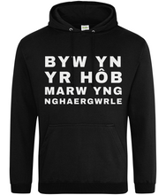 Load image into Gallery viewer, BYW YN YR HôB - Hwdi