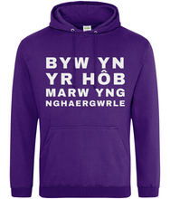 Load image into Gallery viewer, BYW YN YR HôB - Hwdi
