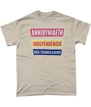 Load image into Gallery viewer, Annibyniaeth Independencia - Crys-T