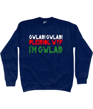 Load image into Gallery viewer, Gwlad! Gwlad! 2024 - Crys chwys