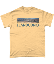 Load image into Gallery viewer, LLANDUDNO - Crys-T