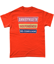 Load image into Gallery viewer, Annibyniaeth Independencia - Crys-T