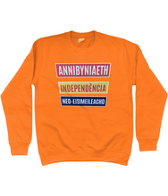 Load image into Gallery viewer, Annibyniaeth Independencia - Crys chwys