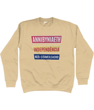 Load image into Gallery viewer, Annibyniaeth Independencia - Crys chwys