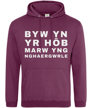 Load image into Gallery viewer, BYW YN YR HôB - Hwdi