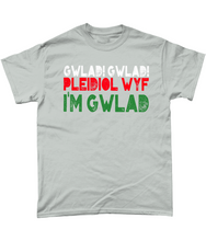 Load image into Gallery viewer, Gwlad! Gwlad! 2024 - Crys-T