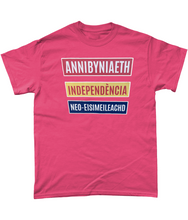 Load image into Gallery viewer, Annibyniaeth Independencia - Crys-T