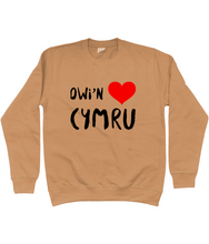 Load image into Gallery viewer, Dwi'n Caru Cymru - Crys chwys