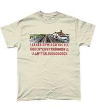 Load image into Gallery viewer, LLANFAIRPG - Crys-T