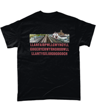 Load image into Gallery viewer, LLANFAIRPG - Crys-T