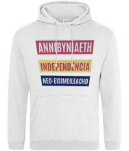 Load image into Gallery viewer, Annibyniaeth Independencia - Hwdi