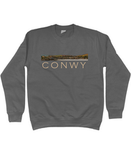 Load image into Gallery viewer, CONWY - Crys chwys