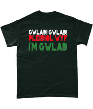 Load image into Gallery viewer, Gwlad! Gwlad! 2024 - Crys-T