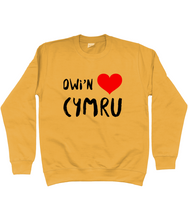 Load image into Gallery viewer, Dwi'n Caru Cymru - Crys chwys