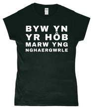 Load image into Gallery viewer, BYW YN YR HôB - Crys-T "fitted"