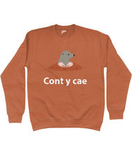 Load image into Gallery viewer, Cont y cae - Crys chwys