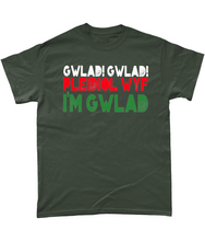 Load image into Gallery viewer, Gwlad! Gwlad! 2024 - Crys-T