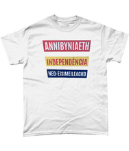 Load image into Gallery viewer, Annibyniaeth Independencia - Crys-T