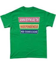 Load image into Gallery viewer, Annibyniaeth Independencia - Crys-T