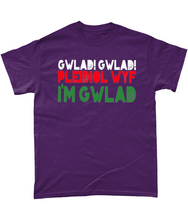 Load image into Gallery viewer, Gwlad! Gwlad! 2024 - Crys-T