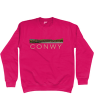 Load image into Gallery viewer, CONWY - Crys chwys
