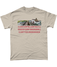 Load image into Gallery viewer, LLANFAIRPG - Crys-T