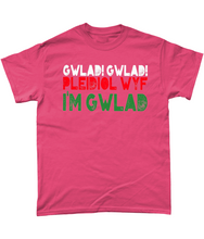 Load image into Gallery viewer, Gwlad! Gwlad! 2024 - Crys-T