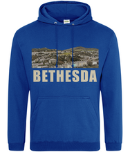 Load image into Gallery viewer, BETHESDA - Hwdi