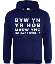 Load image into Gallery viewer, BYW YN YR HôB - Hwdi