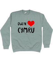 Load image into Gallery viewer, Dwi'n Caru Cymru - Crys chwys