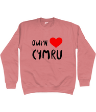Load image into Gallery viewer, Dwi'n Caru Cymru - Crys chwys