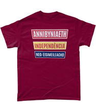 Load image into Gallery viewer, Annibyniaeth Independencia - Crys-T