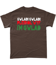 Load image into Gallery viewer, Gwlad! Gwlad! 2024 - Crys-T